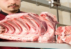 Meat and Bone Band Saw Blade Production Started in Turkey